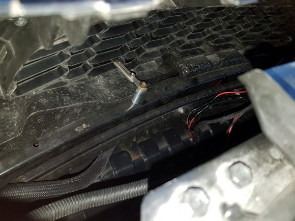 20161107_153812 (Medium).jpg