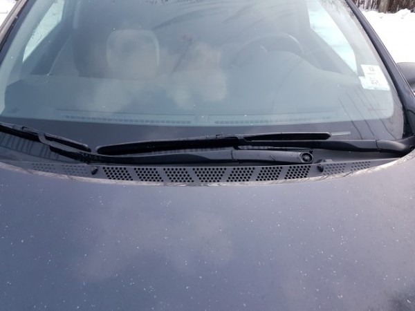 20170207_163344 (Small).jpg